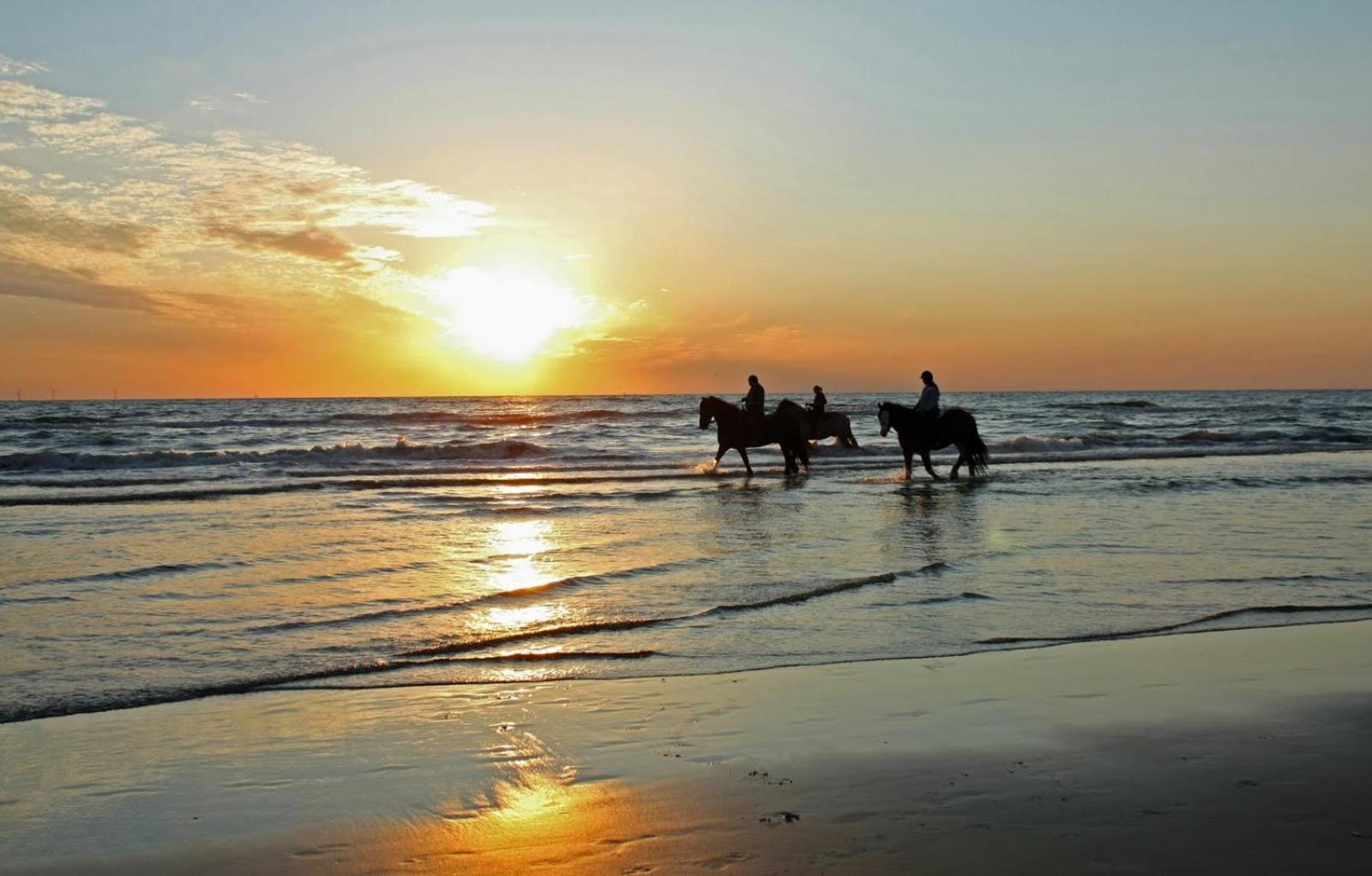 Mer Et Soleil A Blonville Sur Mer/ Deauville ภายนอก รูปภาพ